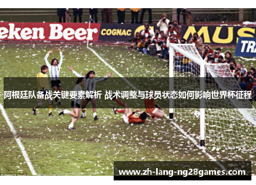 阿根廷队备战关键要素解析 战术调整与球员状态如何影响世界杯征程