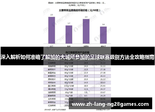 深入解析如何准确了解加的夫城所参加的足球联赛级别方法全攻略指南 深入解析如何准确了解加的夫城所参加的足球联赛级别方法全攻略指南